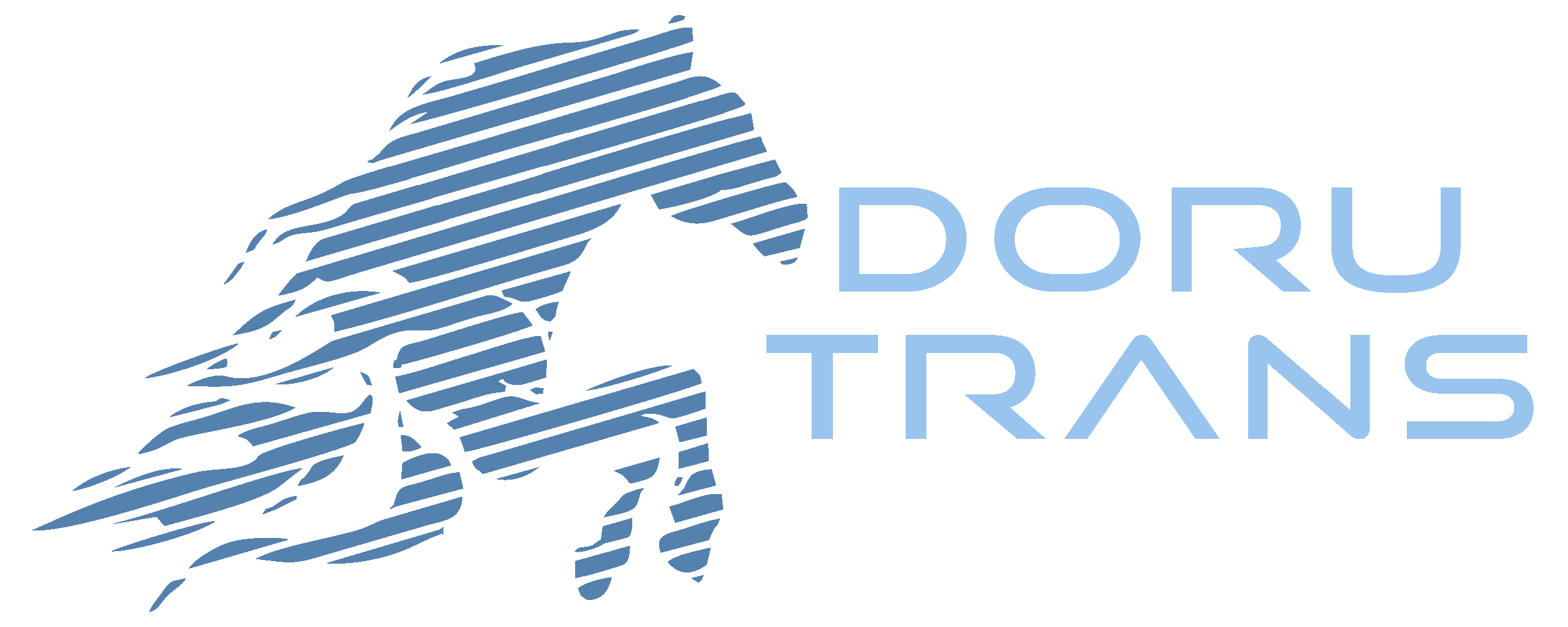 DoruTrans Logo